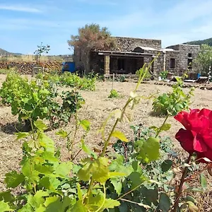 Casa vacanze Biodammuso, Scauri (Sicily)